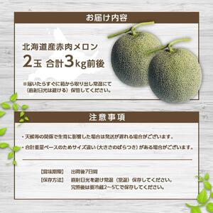 【先行予約】北海道産赤肉メロン合計3kg前後（2玉入）2026年7月中旬から順次発送予定 | メロン_01979