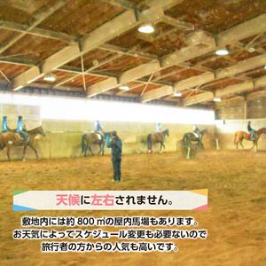 ひき馬体験　4名様分_01540