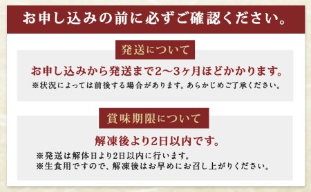長崎県産 本マグロ赤身 300g 2人前～3人前 【大村湾漁業協同組合】