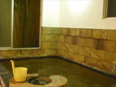 天然温泉「佐久ホテル」　1泊2食付　宿泊券　2名様分 【 長野県 佐久市 】
