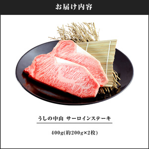 2106 うしの中山 サーロイン ステーキ 400g KN050-005 肉 牛肉