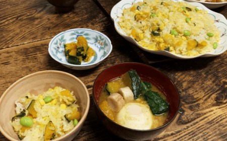 【 先行予約 】 種子島 産 完熟 かぼちゃ ( えびす南瓜 ) 4玉　NFN495 【300pt】 