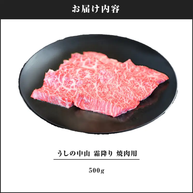 2109-1 うしの中山 霜降り 焼肉用 500g KN050-037 肉 牛肉