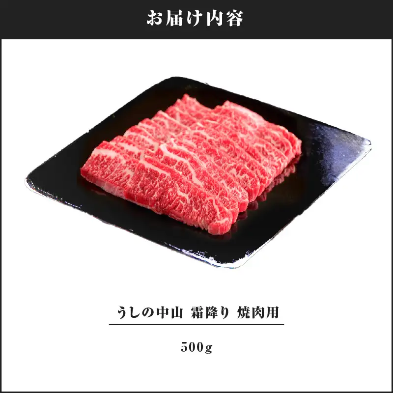 2110-1 うしの中山 赤身 焼肉用 500g KN050-038 肉 牛肉