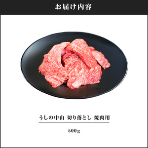 2111 うしの中山 切り落とし 焼肉用 500g KN050-004 肉 牛肉