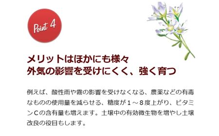 HB-101　セット