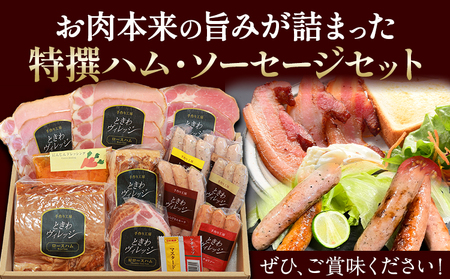特撰 ハム ソーセージセット 