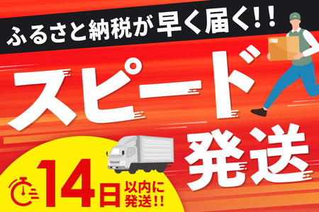 【14日以内発送！数量限定】佐賀牛入り ハンバーグ 22個 2.6kg(120g×22個)(H083106)