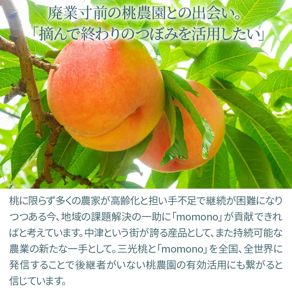 momono エッセンスローションMO 150ml | 化粧水 天然由来成分配合 美白 桃のつぼみエキス配合 大分県 中津市 国産 