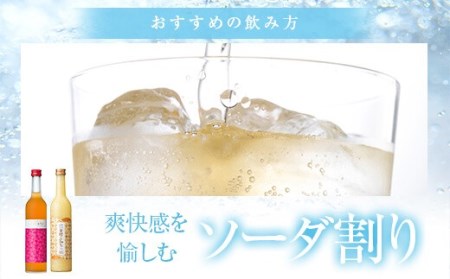 AS-838　飲み比べ かごしま ほろよいセット（とっておき梅酒♪・金柑こみち） 各500ml 田苑酒造