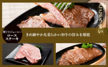 DS-208 鹿児島県北さつま高崎牛 ロースステーキ 【鹿児島県産黒毛和牛】