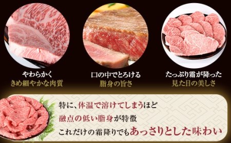 DSR-607 鹿児島県産黒毛和牛しゃぶしゃぶ 600g Bｾｯﾄ 名産鹿児島和牛かんだ本店