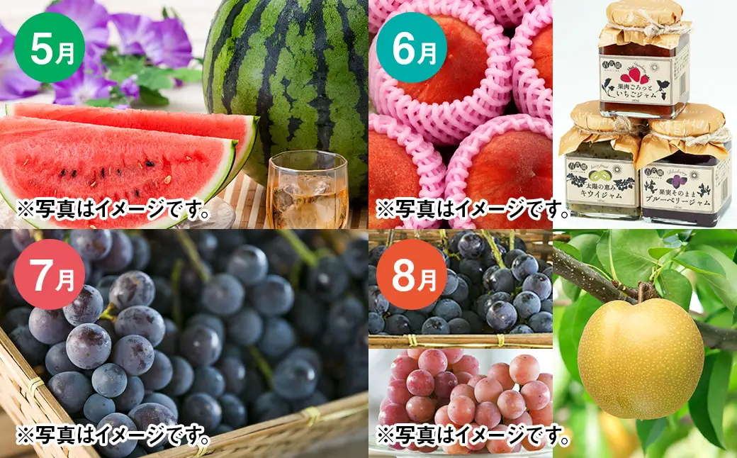 【12カ月定期便】熊本フルーツ定期便12カ月｜果物 くだもの 苺 いちご みかん 柑橘 メロン すいか 桃 ぶどう 梨 柿 ジャム