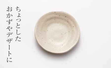 【美濃焼】石目 取皿 大・小 10点 セット 伊賀（白）【山銀深萱商店】食器 皿 プレート 小皿 取り皿 ケーキ皿 薬味皿 醤油皿 家族 おもてなし パーティ 美濃焼 日本製 レンジ対応 食洗機対応 送料無料 [MEZ002]