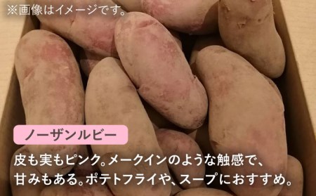 ※数量限定※【先行予約】自然栽培のじゃがいも 3種 約5kg 多治見市 / ほたるファーム 農家直送 芋 詰め合わせ 詰合せ カラフルじゃがいも ジャガイモ 自然栽培 新鮮 おいしい 旬 野菜 季節 限定 送料無料 [TEB002]