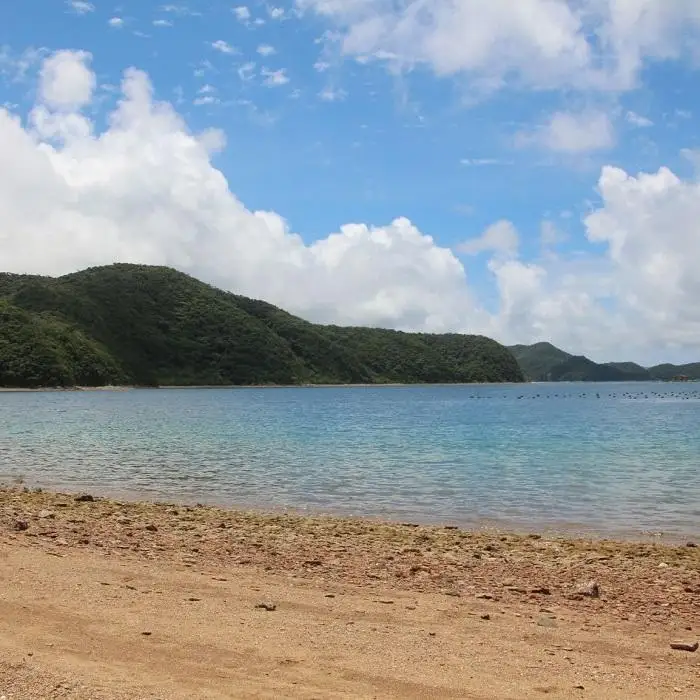 【奄美大島 瀬戸内町】JTBふるさと旅行券（900,000円分）有効期間5年 | 予約 宿泊 観光 体験 温泉 ホテル 旅館 チケット 子供 子連れ カップル 家族 店頭 電話 瀬戸内