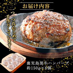 鹿児島黒牛特選ハンバーグ6個入り【nixy中山亭】chuzan-7011