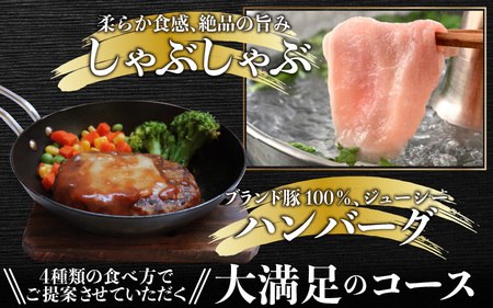【肉の定期便×6回コース】肉好き大集合！臭みゼロの豚肉「荒島ポーク」食べ比べ 定期便！【福井のブランド豚肉】