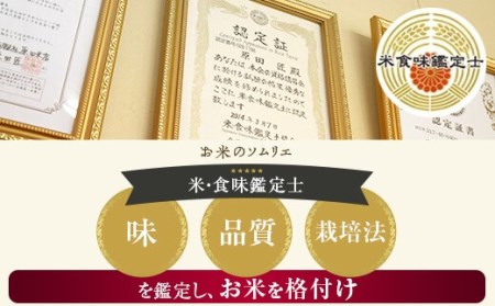 【6ｶ月定期便】健康村ヒノヒカリ 米 10kg(5kg×2)  KSR-602