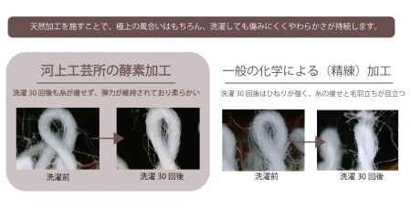「地域の自然を染めるタオル」 フェイスタオル・タオルハンカチ 各1枚セット（うす緑／絹かわなす）