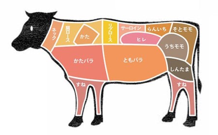 FYN9-787 山形県産 山形牛 A5等級 サーロインステーキ 2枚（200g×2） 黒毛和牛 肉 国産 ブランド牛 赤身 贅沢