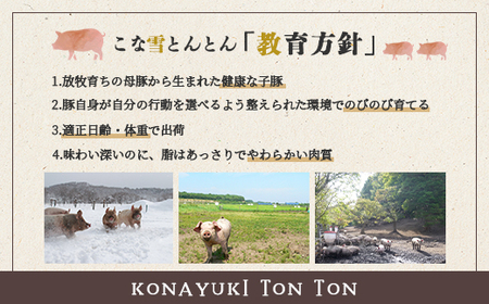 北海道雪国放牧豚 こな雪とんとんフランクフルト・ソーセージセット【19006201】