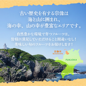 【定期便/年４回】フルーツ 旬の福岡フルーツ定期便_HB0087