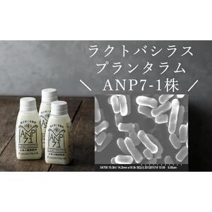 【乳酸菌1500億個】お米の醗酵飲料 ANP71 冷蔵 150g×12本