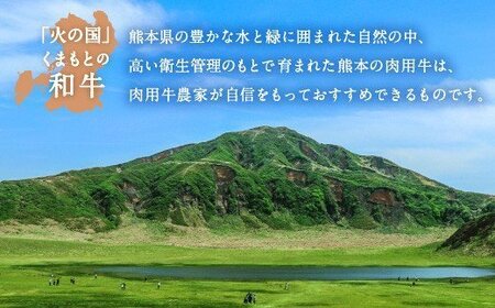 くまもと 黒毛和牛 ロース 焼肉 用 400g 国産 和牛