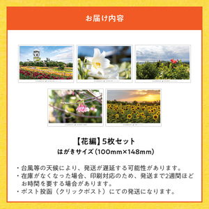 花と癒しの島！沖永良部島オリジナルポストカード（花編） W060-002u 雑貨 日用品