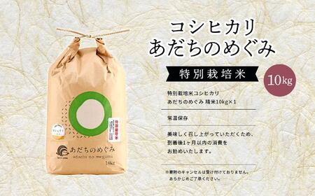 米 令和7年産 コシヒカリ 10kg 特別栽培米 JAふくしま未来【こらんしょ市】
