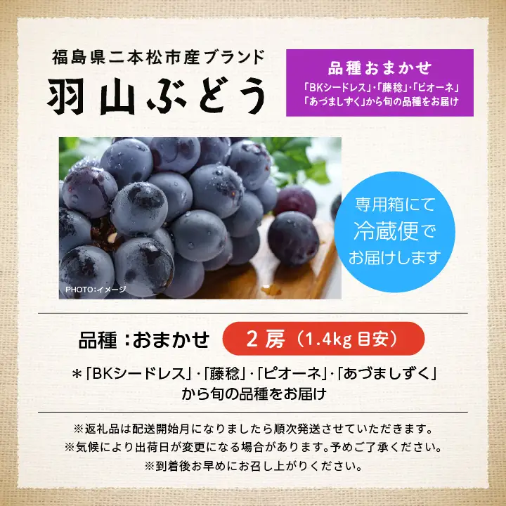 《2026年9月初旬以降順次発送》羽山のぶどう 品種おまかせ 2房（1.4kg）【羽山果樹組合】