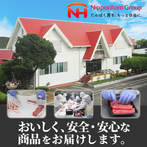 宮崎牛 ロース ステーキ(計450g・150g×3枚)A4 A5 牛肉 精肉 お肉 ブランド和牛 黒毛和牛 焼肉 BBQ バーベキュー 冷凍 国産【P-28】【南日本フレッシュフード株式会社(日本ハムマーケティング株式会社)】