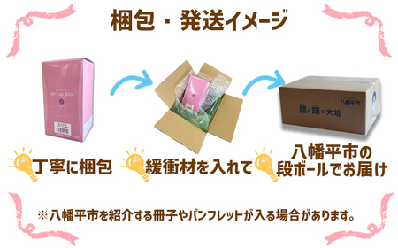 スリムアップバー ショコラ 1箱 （10本入り） 【天真堂】 ／ ダイエット バー たんぱく質 タンパク質 美容 お菓子 大豆ベース ボディメイク おやつ 菓子 栄養 手軽 お手軽 小麦粉不使用 卵不使用 小分け 個包装 ダイエット食品 腹持ち 女性