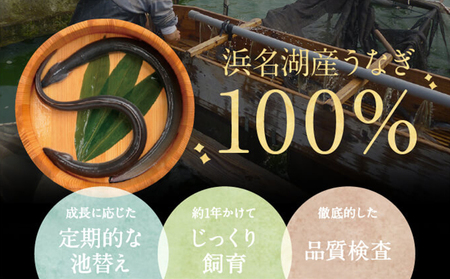【浜名湖産】朝じめ うなぎ 溶岩焼き 白焼き 10尾（約140g×10尾） 土用の丑の日 丑の日 熟練 職人 国産 天然溶岩 手焼き 鰻専門店 焼きたて 美味しい 冷蔵便 極上 ふわとろ 食感 
