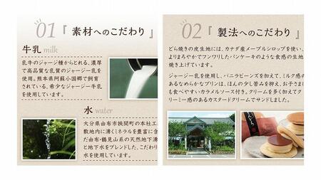 ＼年内発送／【お菓子の菊家】ゆふいん創作菓子 ぷりんどら 9個入【 どらやき】