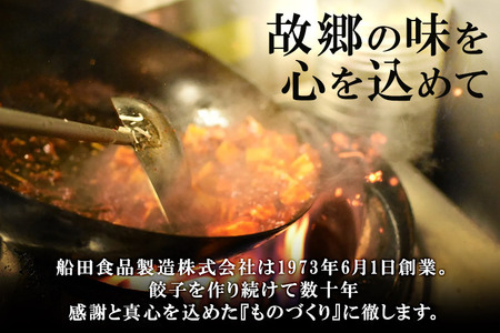仙台あおば餃子 計32個 計576g（18g×16個×2パック）ぎょうざ 冷凍食品 国産豚肉 簡単 惣菜