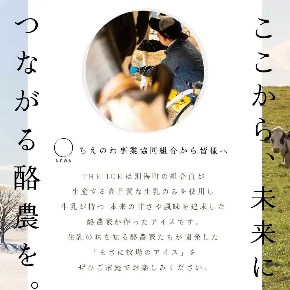 【隔月定期便】 THE ICE 3種詰合せ12個セット×4回定期便  be003-1073-200-4　（ あいす アイス アイスクリーム ミルク ピスタチオ いちご イチゴ 苺 セット 北海道 別海町 人気 ふるさと納税 ）