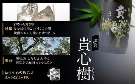オガタマ酒造 本格焼酎飲み比べ 10本セット (900ml×5本､720ml×5本) グラス付き 鹿児島 芋焼酎 GSR-306