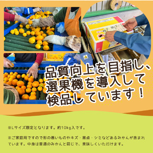 ZJ6091_【2026年先行予約】【ご家庭用】和歌山 有田みかん 約10kg Lサイズ【湯浅町】