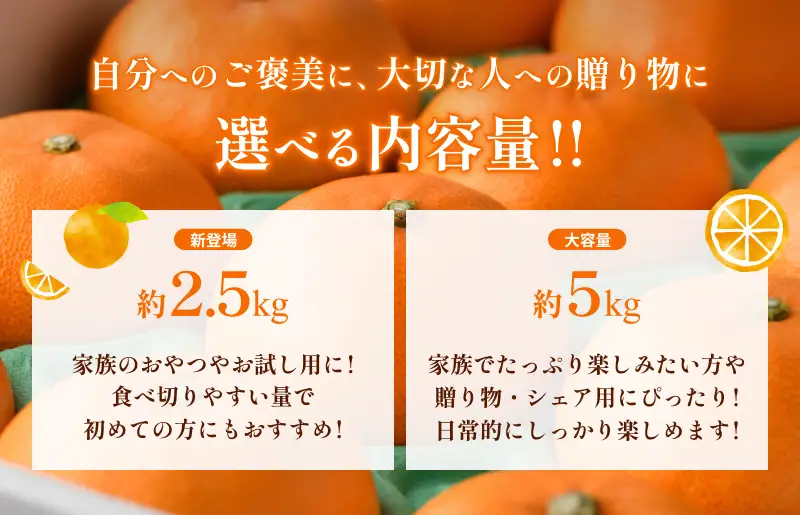 【先行予約】せとか（家庭用）レギュラー箱 約5kg【KC00770】
