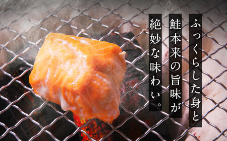 訳あり 銀鮭 切身 甘口 (不揃い) 約2.8kg 鮭 冷凍 ss00004