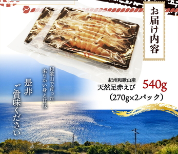紀州和歌山産天然足赤えび540g（270g×2パック）　化粧箱入 ※着日指定不可