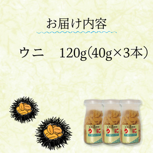 生うに 120g (40g×3本) 牛乳瓶入 ミョウバン不使用 添加物無添加 冷蔵 
