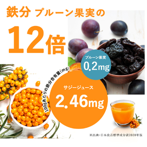  サジージュース+ゆず 1000ml×2本セット _DX05