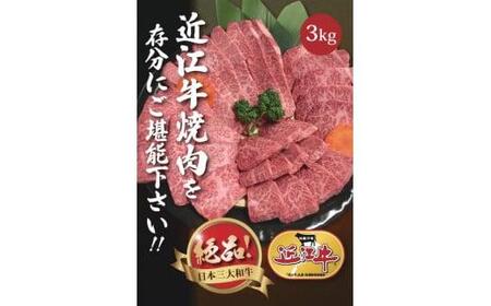 【近江牛 焼肉セット(肩ロース・カルビ) 3kg】肉 牛肉 ブランド牛 三大和牛 和牛 黒毛和牛 国産 バーベキュー 贈り物 ギフト プレゼント 冷凍 滋賀県 竜王