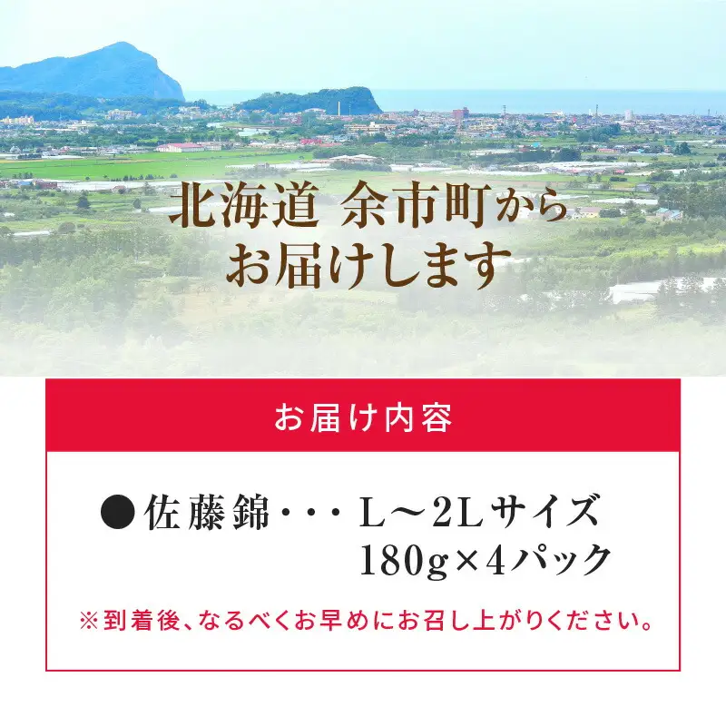 《2026年産先行受付》北海道産さくらんぼ【佐藤錦】L～2Lバラ詰め 180g×4 サクランボ 果物 フルーツ 季節限定_Y074-0136