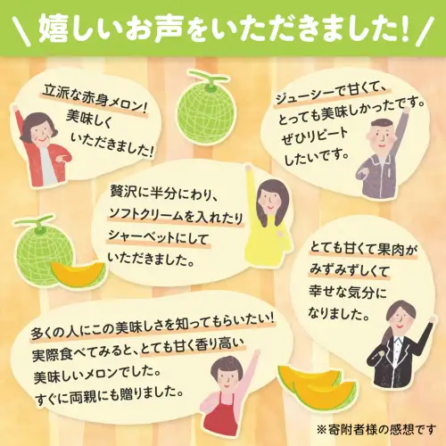 【先行予約】茨城県産ほのかメロン2玉 (2026年7月下旬から発送開始) | メロン