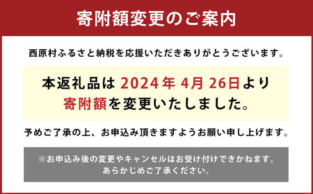 【3ヶ月定期便】阿蘇・西原 復興支援 あか牛 切り落とし 1.2kg×3回