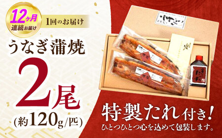 【12回定期便】北御門うなぎ蒲焼2尾入 / 特上 うなぎ 鰻 蒲焼 ウナギ / 諫早市 / 諫早観光物産　コンベンション協会 [AHAB014]